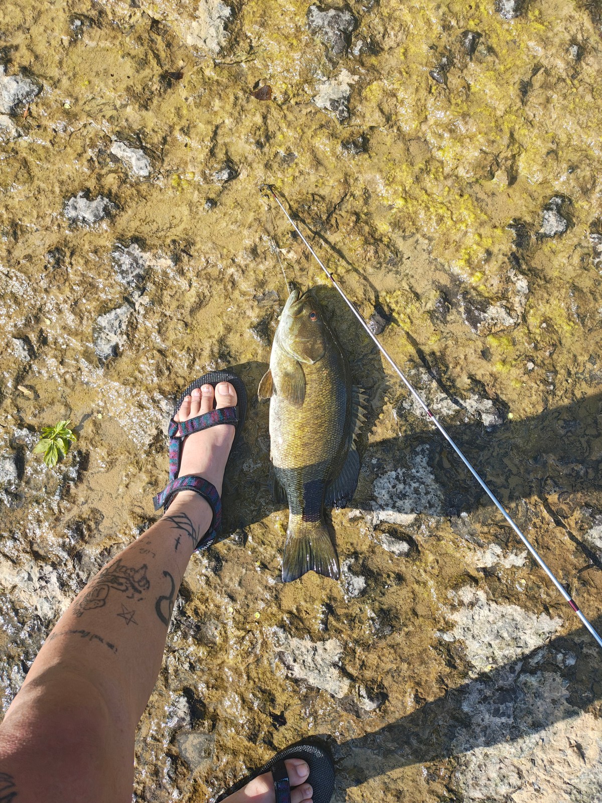 Solo spring fishing&nbsp;afternoon